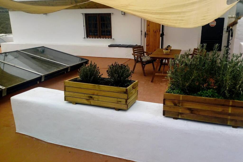 Appartement Casita Bioclimatica En El Campo à Arucas Extérieur photo